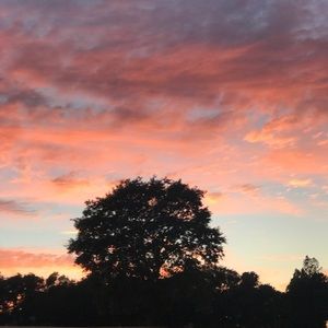 Meet your Posher, Jazmin